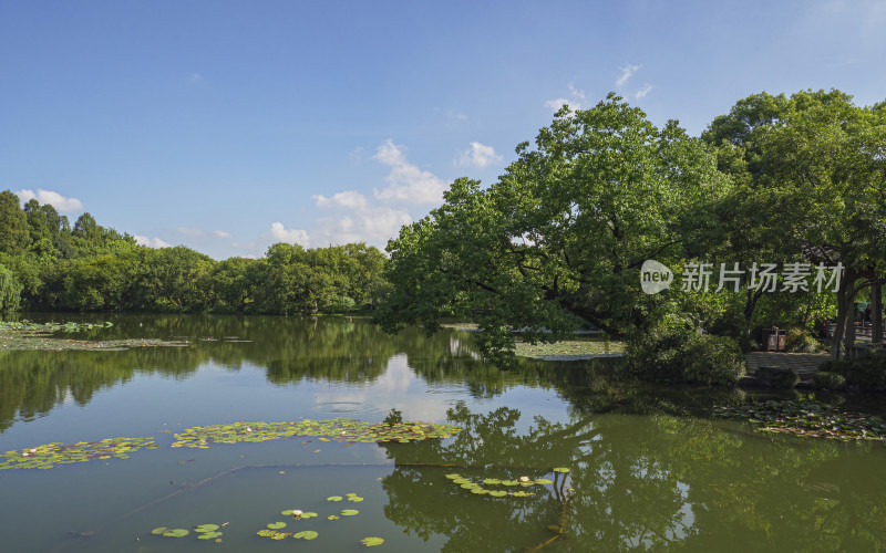 浙江省杭州市西湖景区