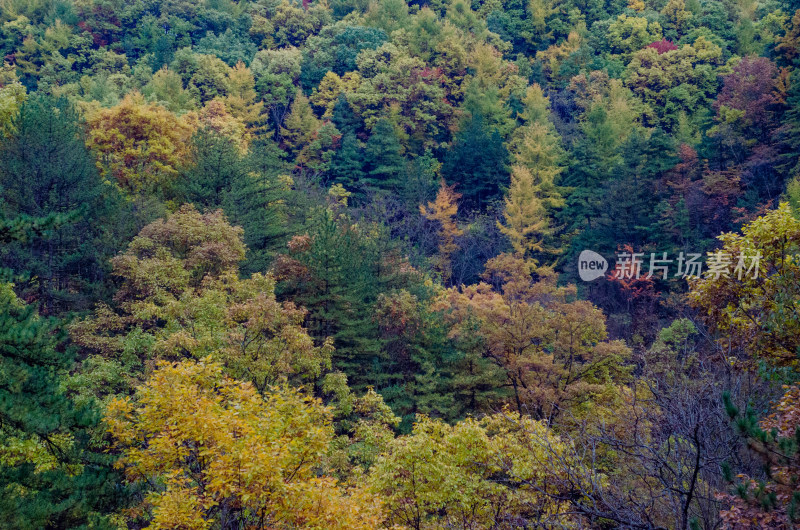 河南省洛阳白云山九龙潭秋天风景