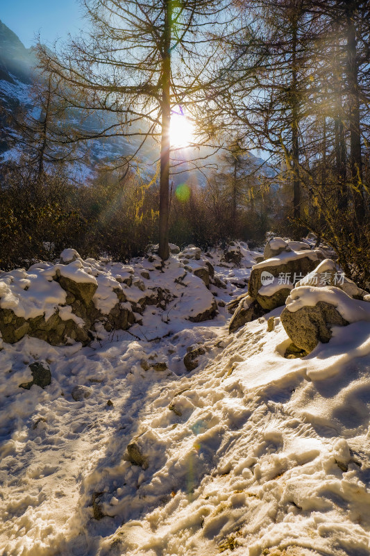 阳光洒落在雪地上