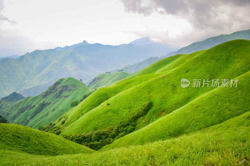 江西武功山高山草甸