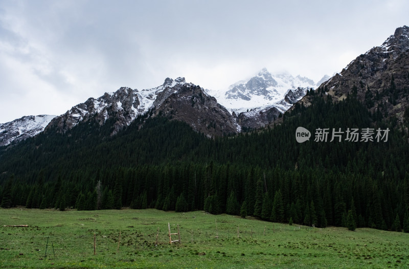 新疆伊犁夏塔雪山森林草原绝美风光