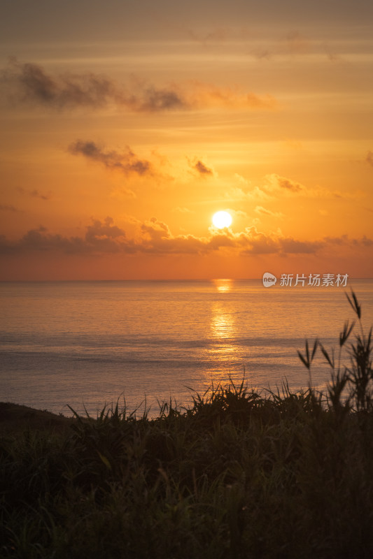 岛上初日