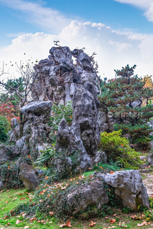 南京钟山风景名胜区明孝陵园林风景