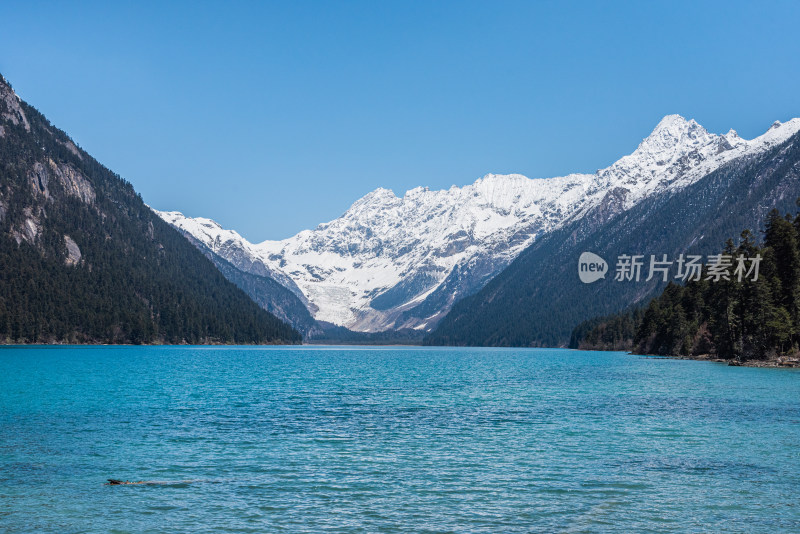 白雪皑皑的群山映衬下的湖景 西藏林芝新措