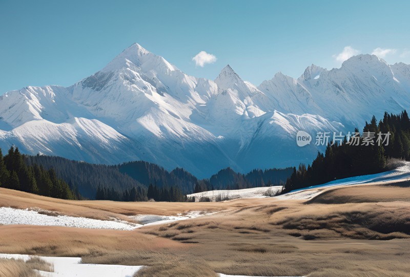 雪山高原草原森林风景