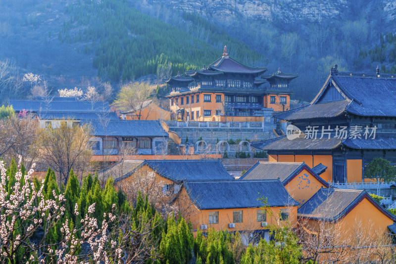 青州广福寺春景