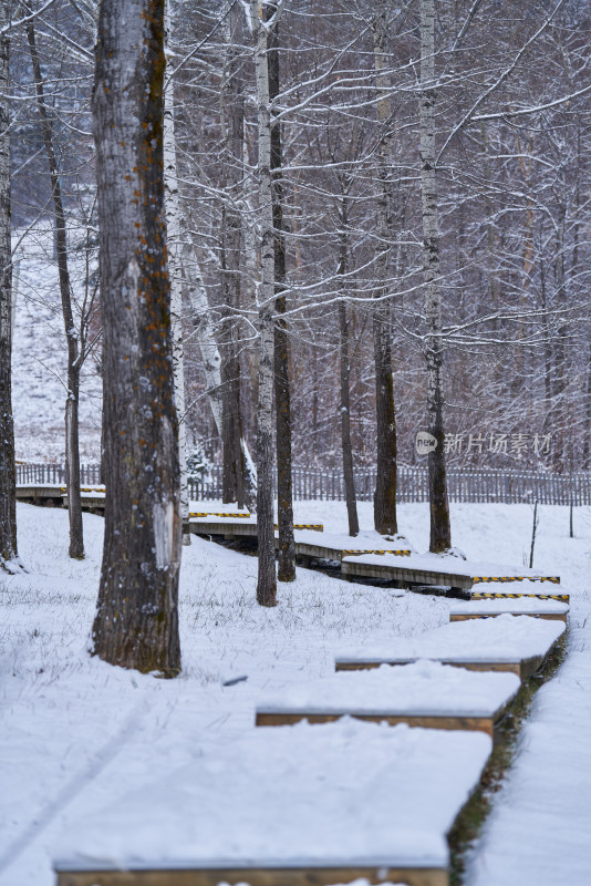 雪中栈道