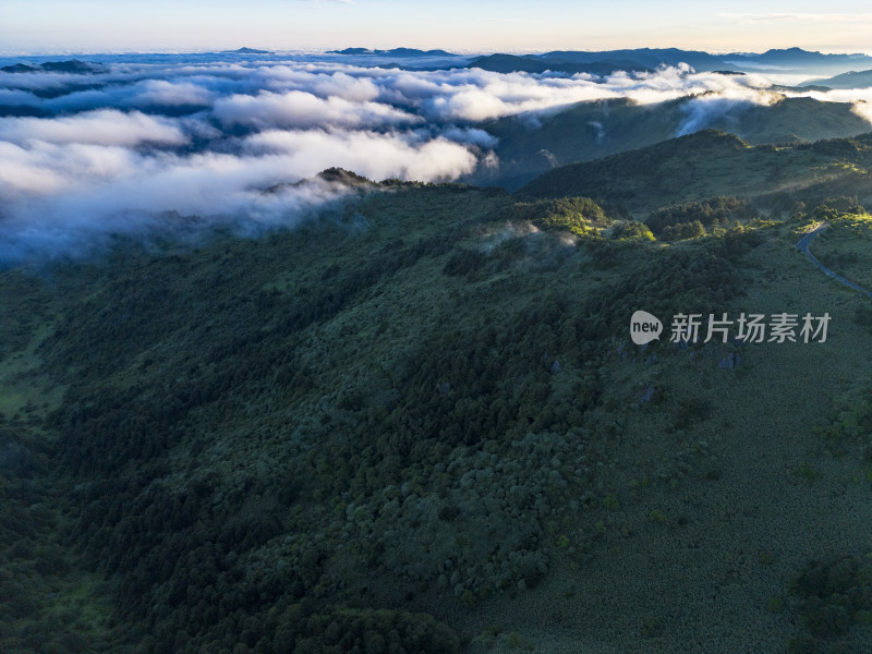 大自然高山云海湖北神农顶景区