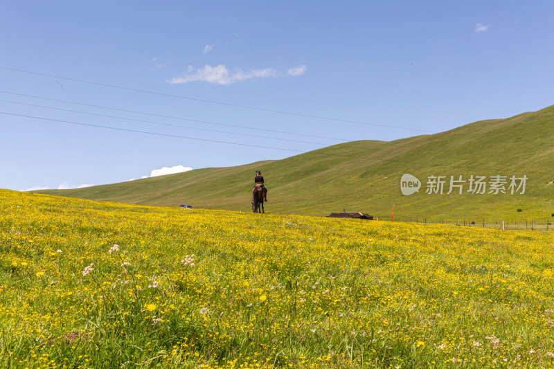 蓝天白云草原骑马