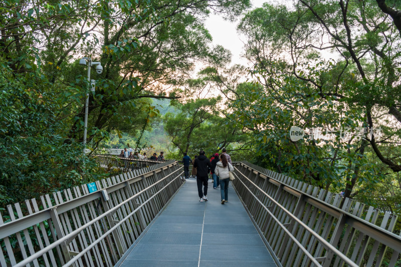 福州福道城市空中步道及周边景观