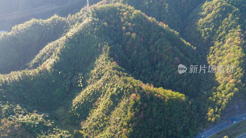 大山深处