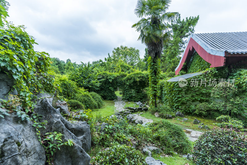 武汉东湖磨山景区盆景园