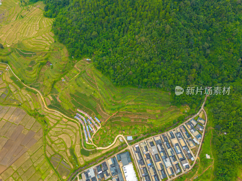 航拍乡村田园风光