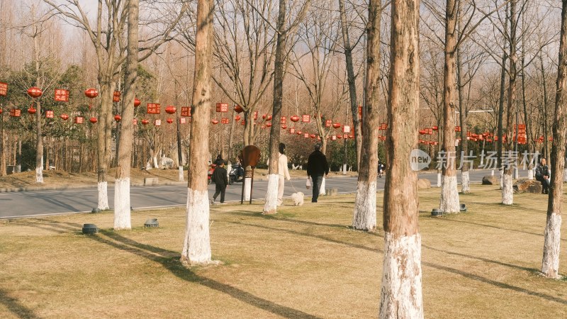 安吉余村景区秋天冬天景象