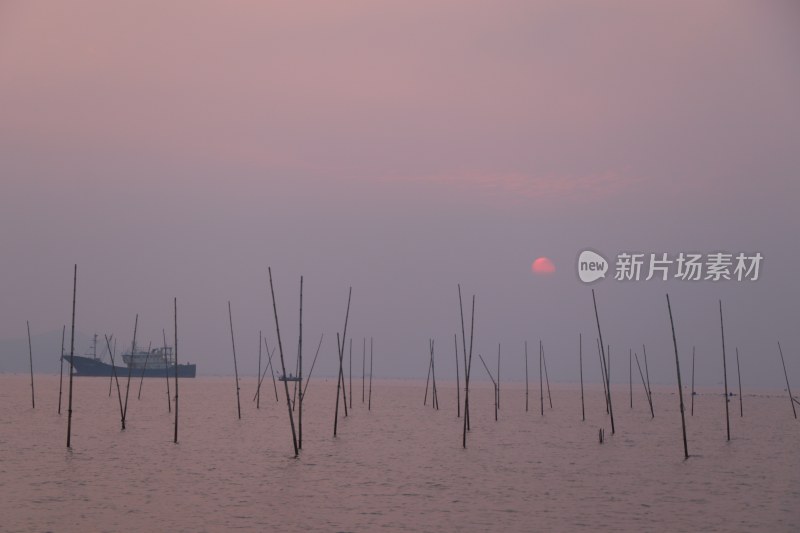 滩涂日出