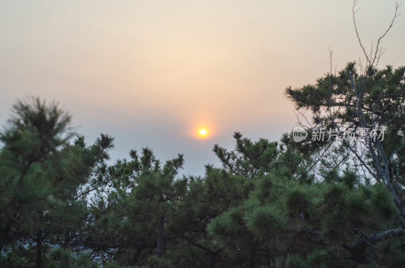 青岛北岭山森林公园落日