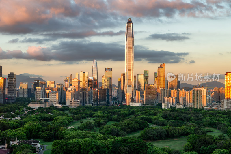 深圳城市高楼与绿地景观