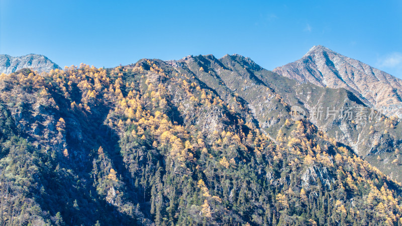 四川阿坝理小路的山区秋日风景