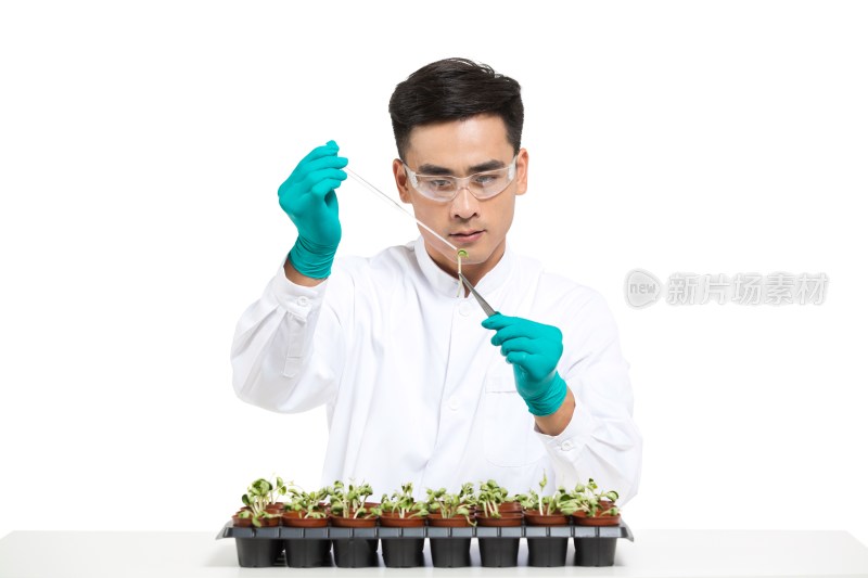 男科学家研究观察植物幼苗