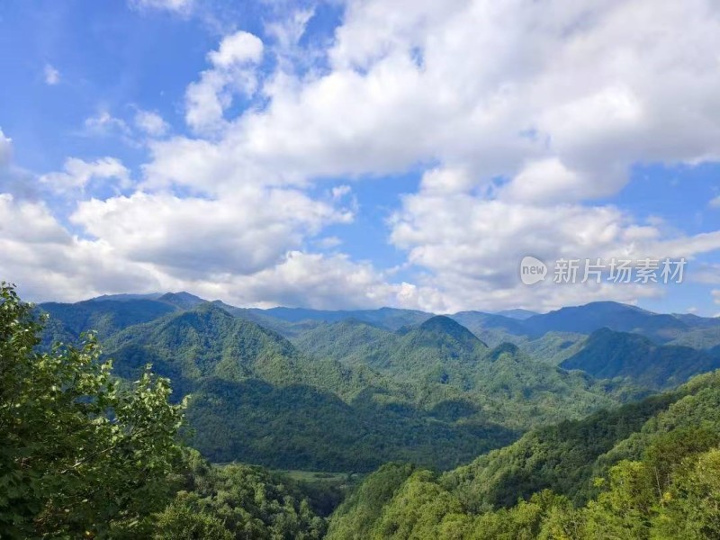 蓝天白云下的广袤山林风景