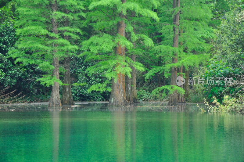 长沙风景，自然风光，长沙城景