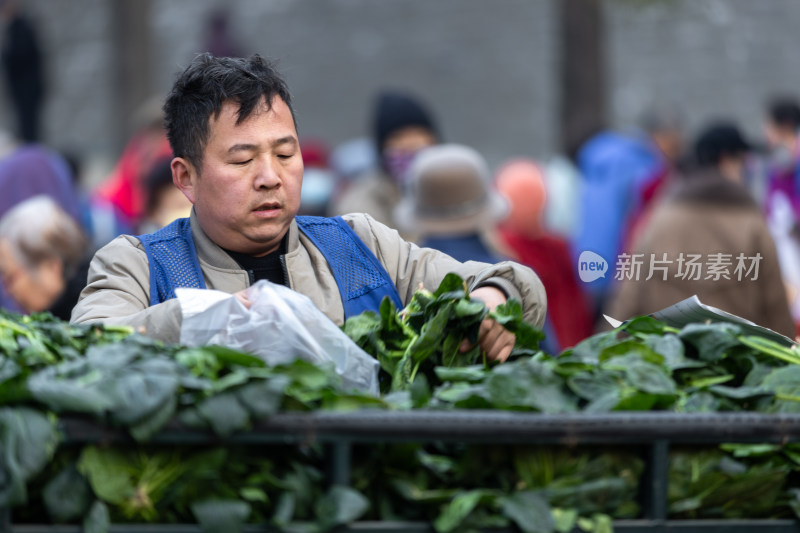 早市买菜卖菜的人们