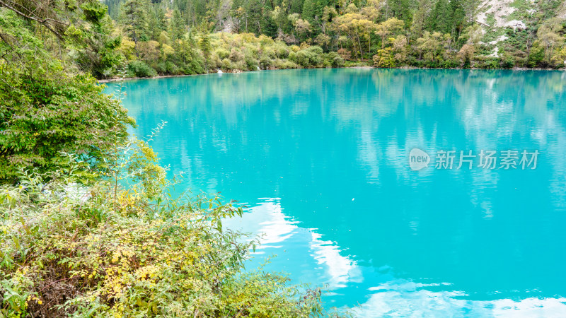 四川阿坝九寨沟秋天的树木和湖泊