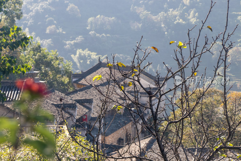 江西婺源篁岭