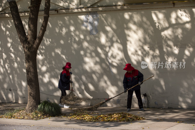 景区环卫工人打扫卫生扫落叶