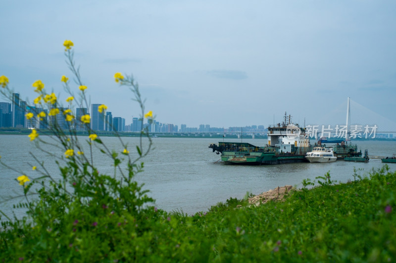 江边绿植旁船只行驶的江景