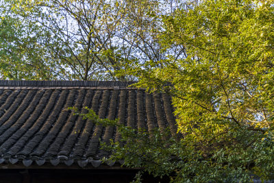 杭州西湖茅家埠江南水乡风景