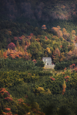 杭州临安林家塘村山坡森林乡村秋色