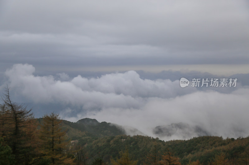 云海 山峰 山峦 清晨 泰山 壮观