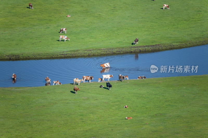 呼伦贝尔莫日格勒河