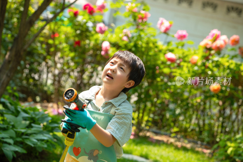 小男孩在庭院里浇水