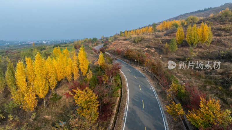 秋天乡村自然风景公路交通