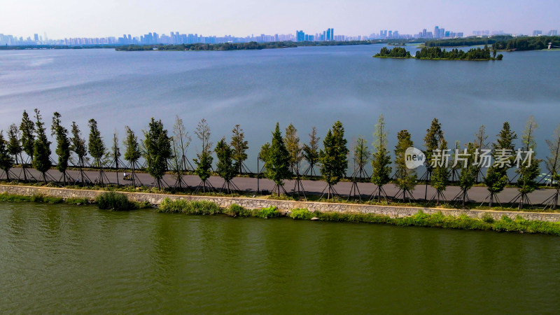 湖中唯美步道武汉东湖5A景区航拍