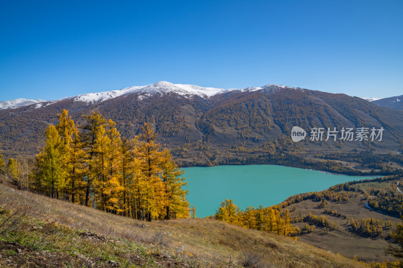 新疆北疆阿勒泰喀纳斯风景区喀纳斯湖