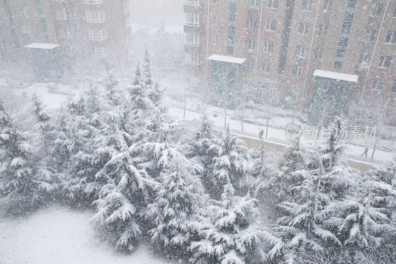 楼外的暴风雪