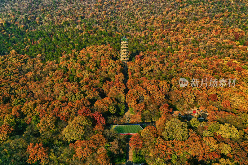 秋天的灵谷景区