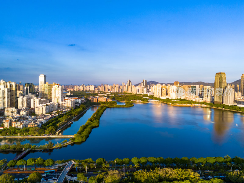 福建厦门城市风光绿化植物航拍图