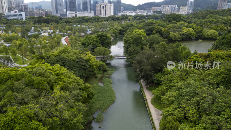 航拍深圳笔架山福田河自然风光