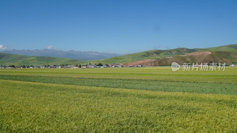 广阔田野与山峦构成的美丽自然景观