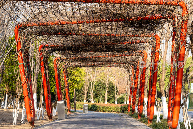 冬季武汉园博园里的植物拱架通道