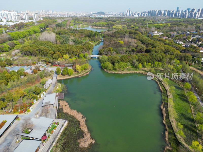 航拍苏州昆山市城市生态森林公园