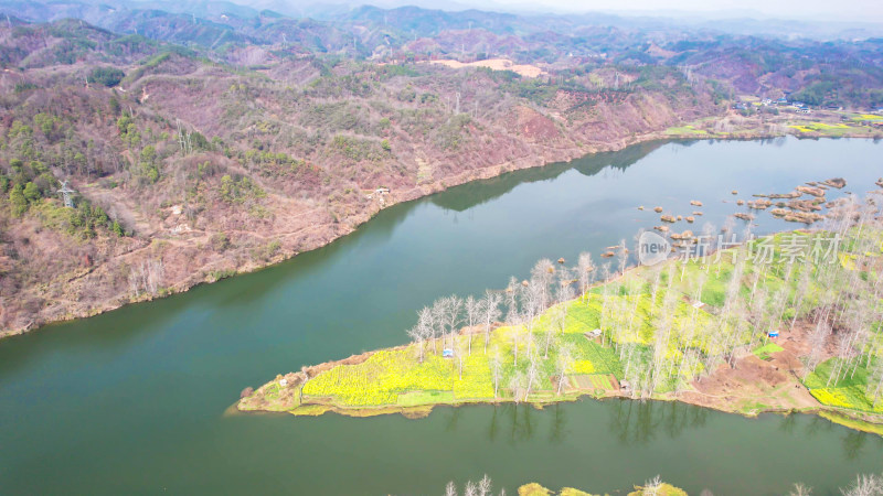 山川河流岛屿油菜花风景航拍