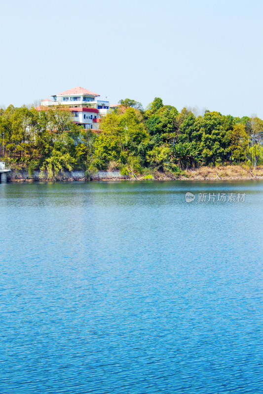 湖泊植物天空风景背景自然户外