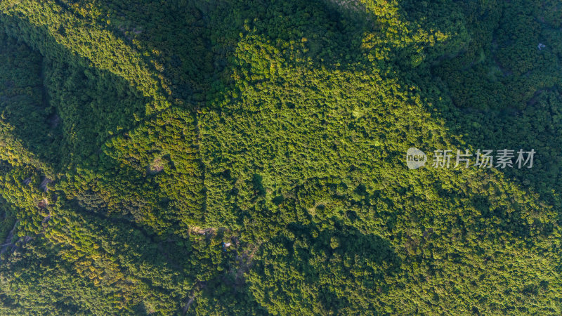 深圳阳台山森林公园