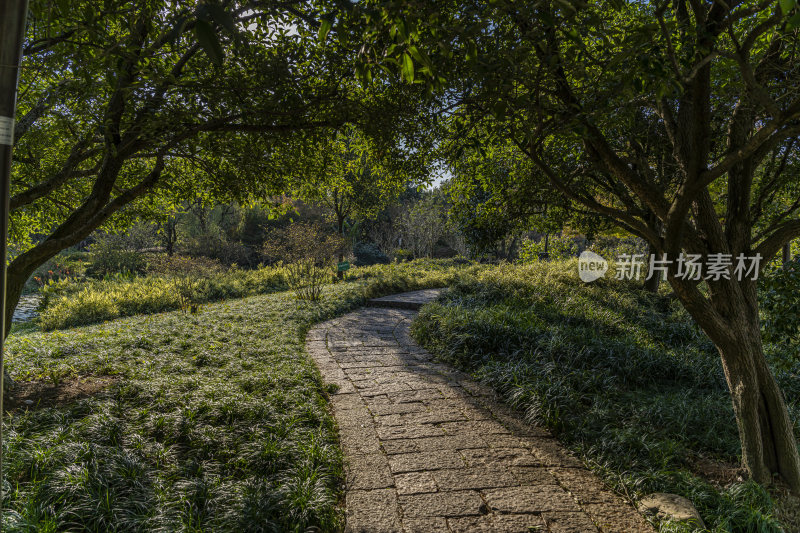 杭州西子湖畔杭州花圃风景