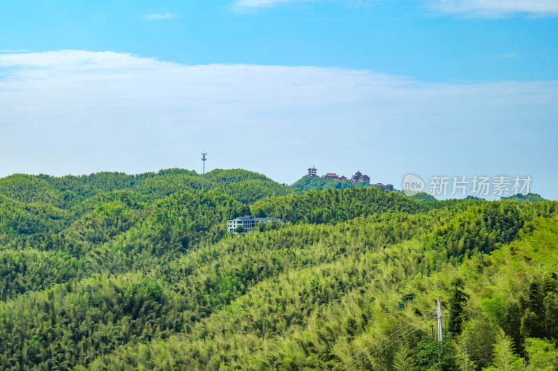 四川宜宾蜀南竹海